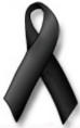 ribbon[1].jpg